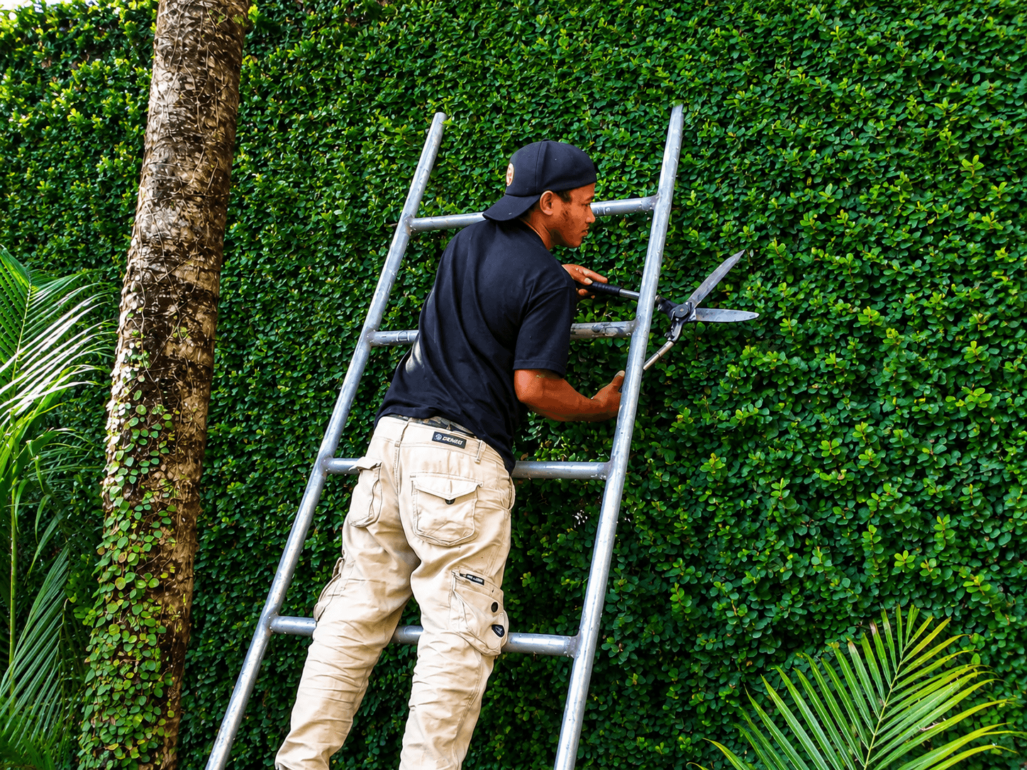 Layanan perawatan kebun dan taman profesional bali — foto 2
